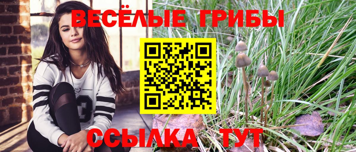 Псилоцибиновые грибы мухоморы Советский