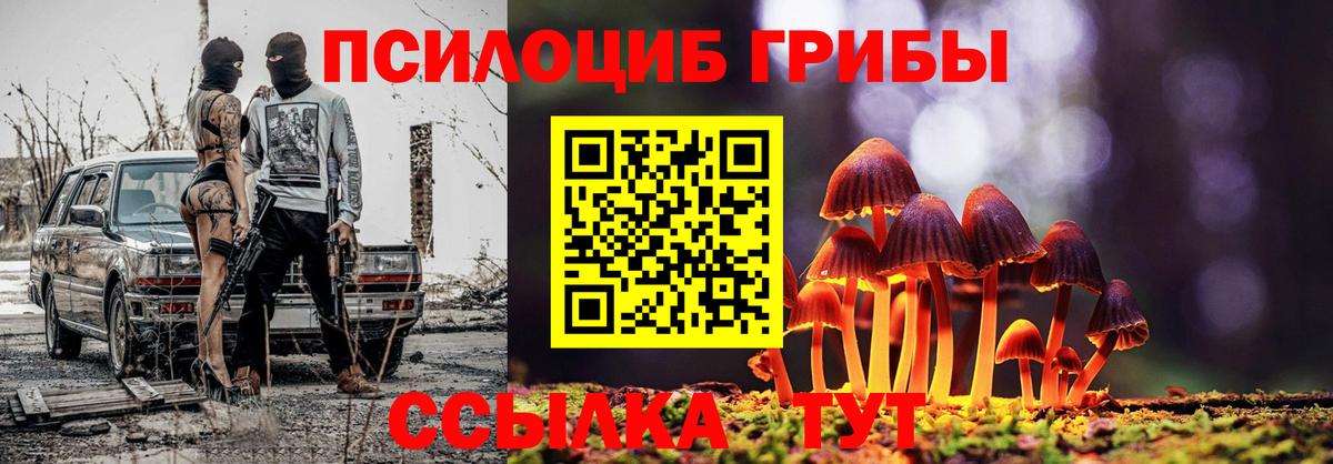 Галлюциногенные грибы Magic Shrooms  Вход с VPN  Советский  Псилоцибиновые грибы Psilocybine cubensis 